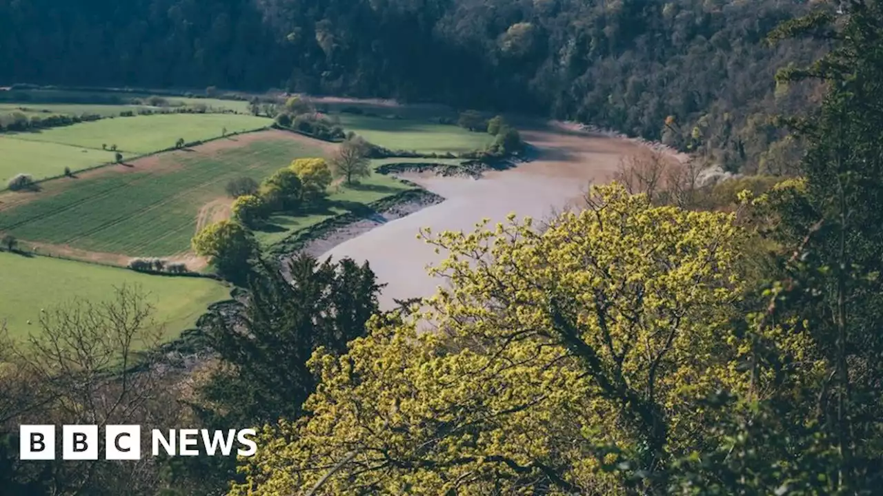 New commission aims to restore river Wye and Lugg water quality