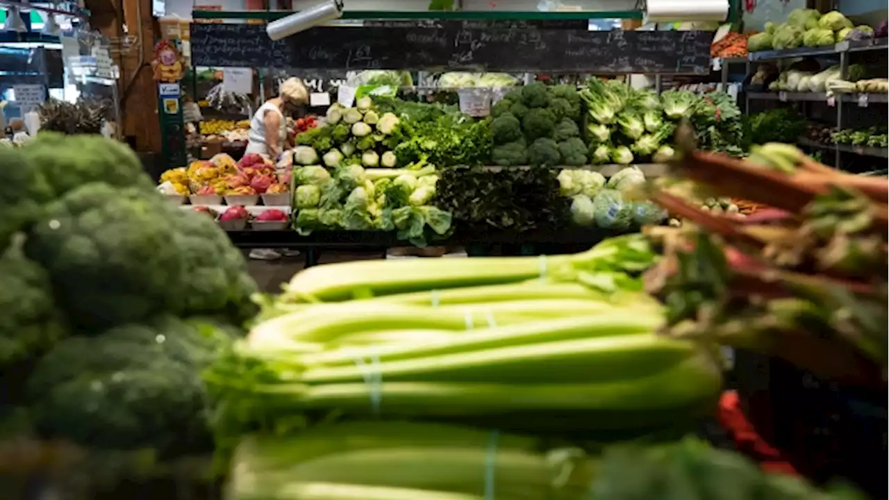 Rising cost of essential goods is greatest debt contributor for Canadians, survey finds - BNN Bloomberg