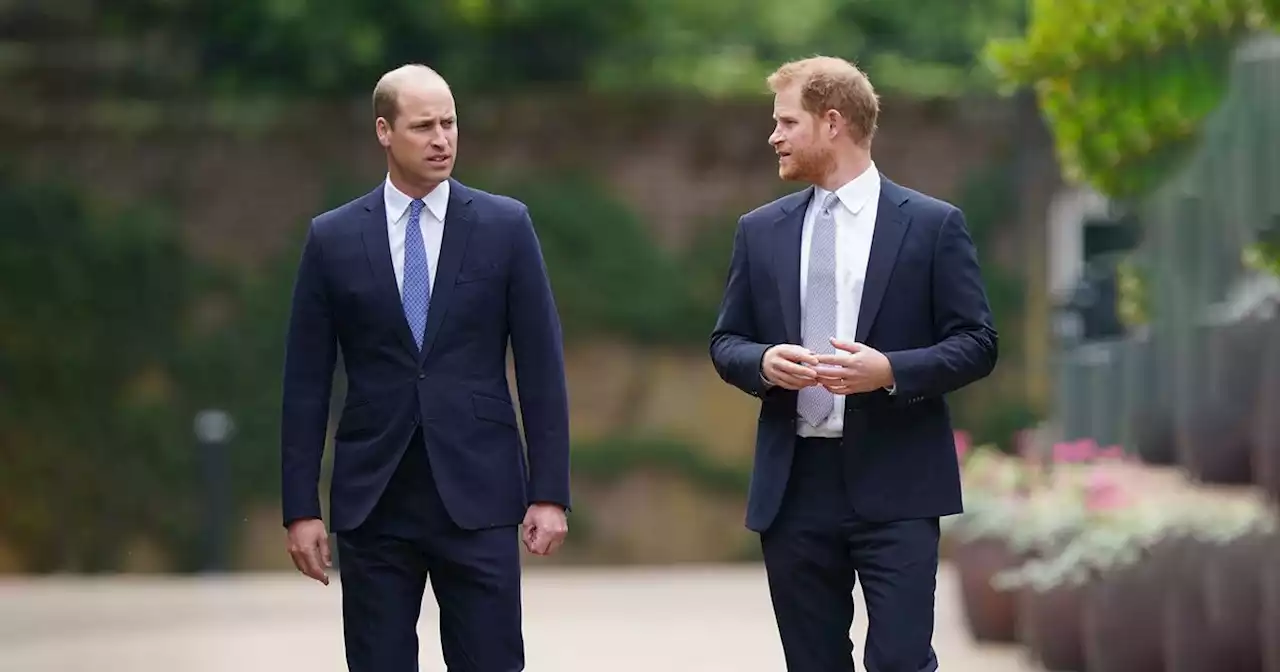 Prinz William & Prinz Harry: Buch enthüllt: Ihre Versöhnung scheiterte bereits 2019