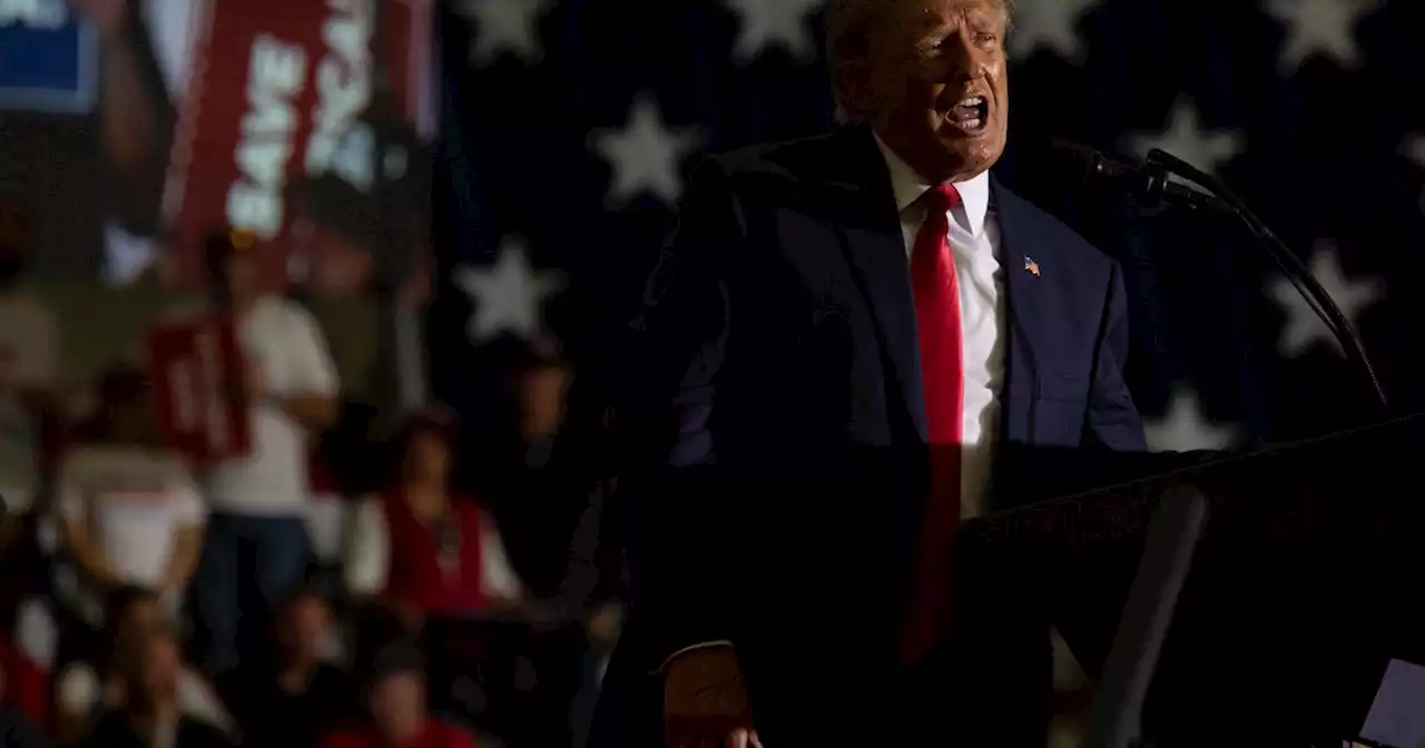 'They cheat like hell, these people': Trump airs 2020 grievances in Michigan, weeks before midterm elections