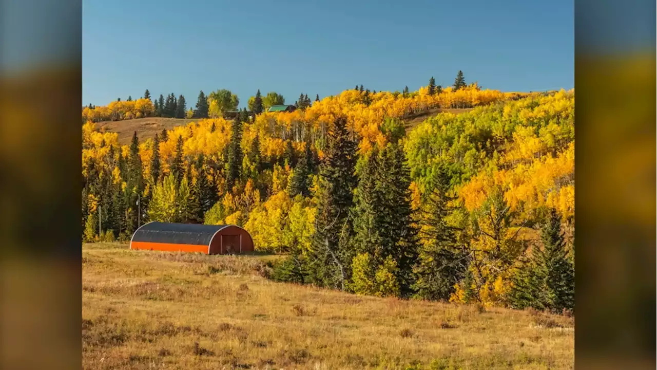 Calgary's trend of temperatures above the curve continues