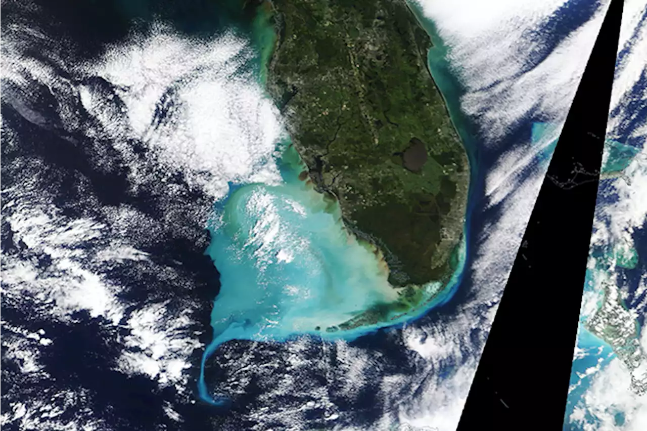 Satellite Imagery Shows Dramatic Changes to Gulf of Mexico Waters From Hurricane Ian