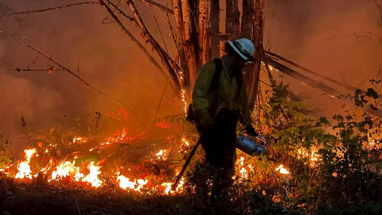 Bolt Creek Fire: US Highway 2 closes again near Skykomish