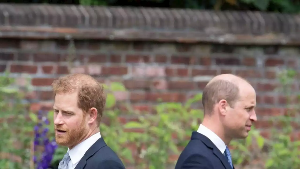 Harry lehnte seinen Versöhnungsversuch ab