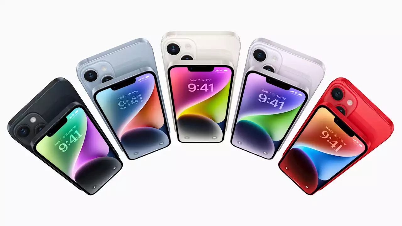 iPhone 14 Plus South African pre-order date revealed - Hypertext