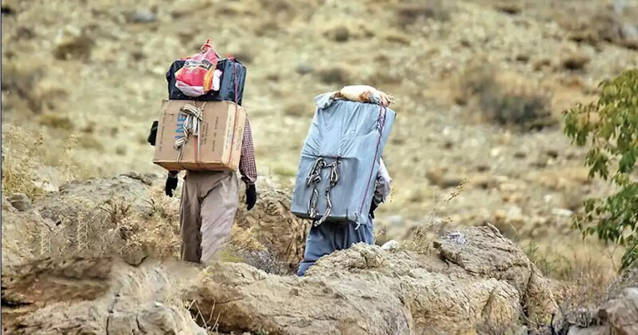 یک کولبر در بانه بر اثر شلیک مستقیم نیروهای نظامی کشته شد