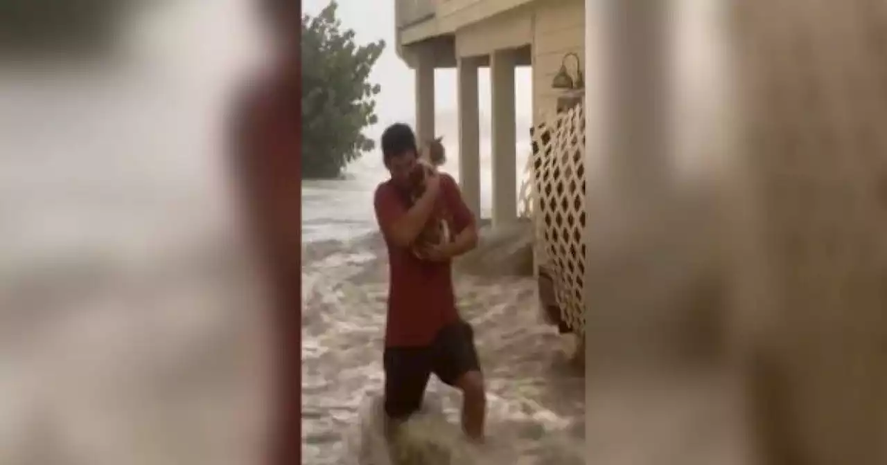 Man caring for cat he rescued during Hurricane Ian