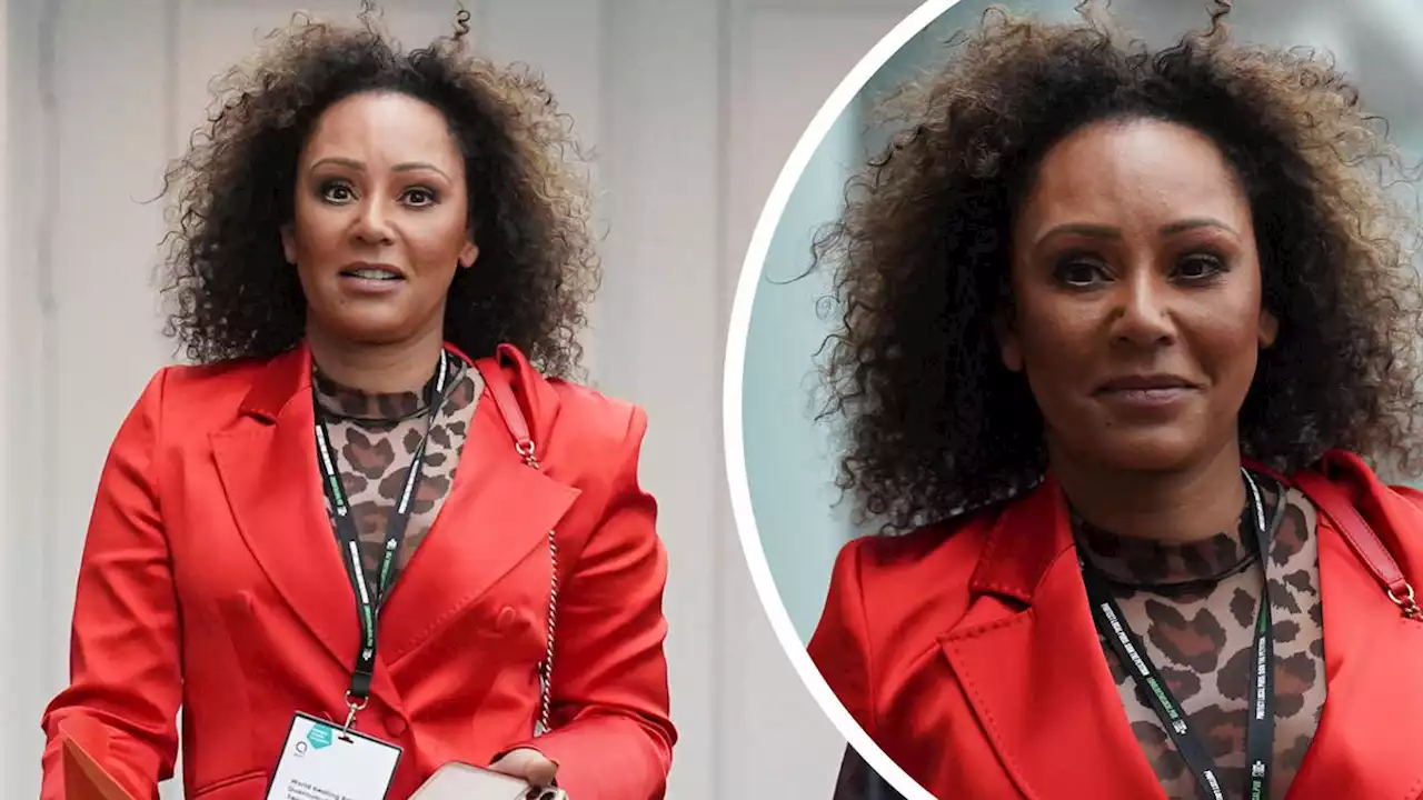 'I would have died': Mel B calls for domestic abuse reforms after sharing her personal experience with ex