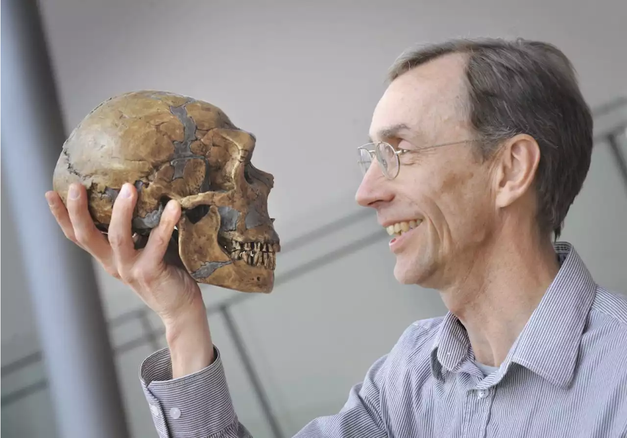 Nobel prize in medicine awarded to geneticist who sequenced Neanderthal genome