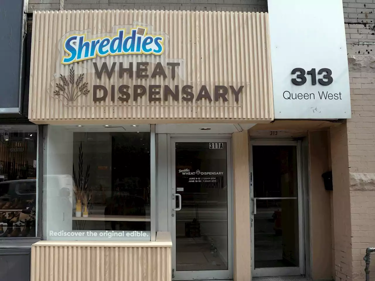 Canadian cereal brand Shreddies opened a pop-up 'wheat' dispensary in Toronto