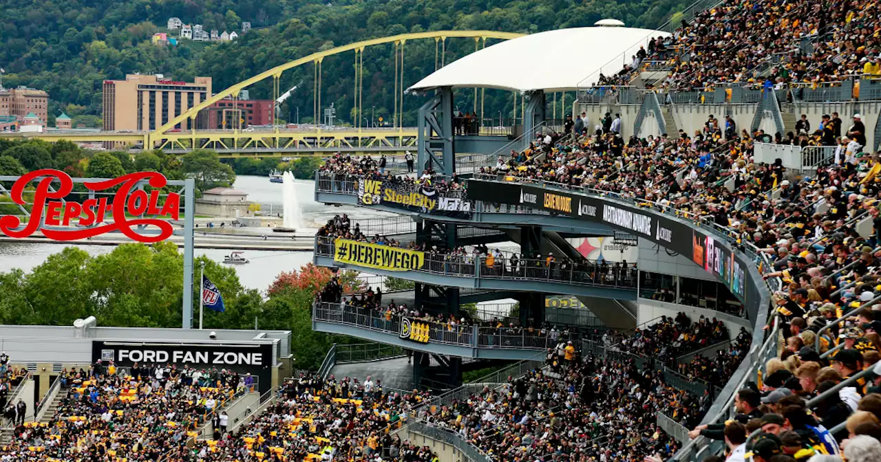 Spectator at Steelers game dies after fall from escalator