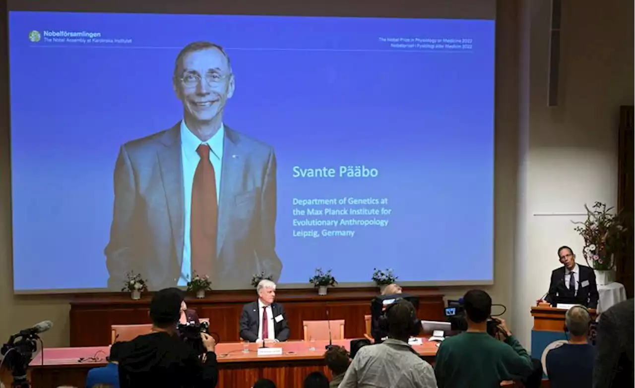 Zweed Svante Pääbo wint Nobelprijs voor de Geneeskunde | Het Parool