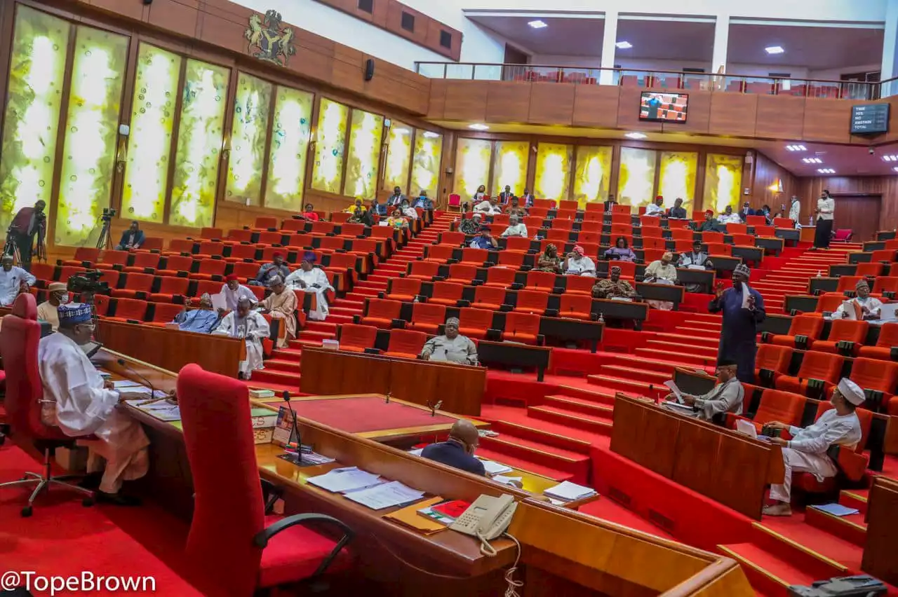 Rep calls for scrapping of senate to save cost