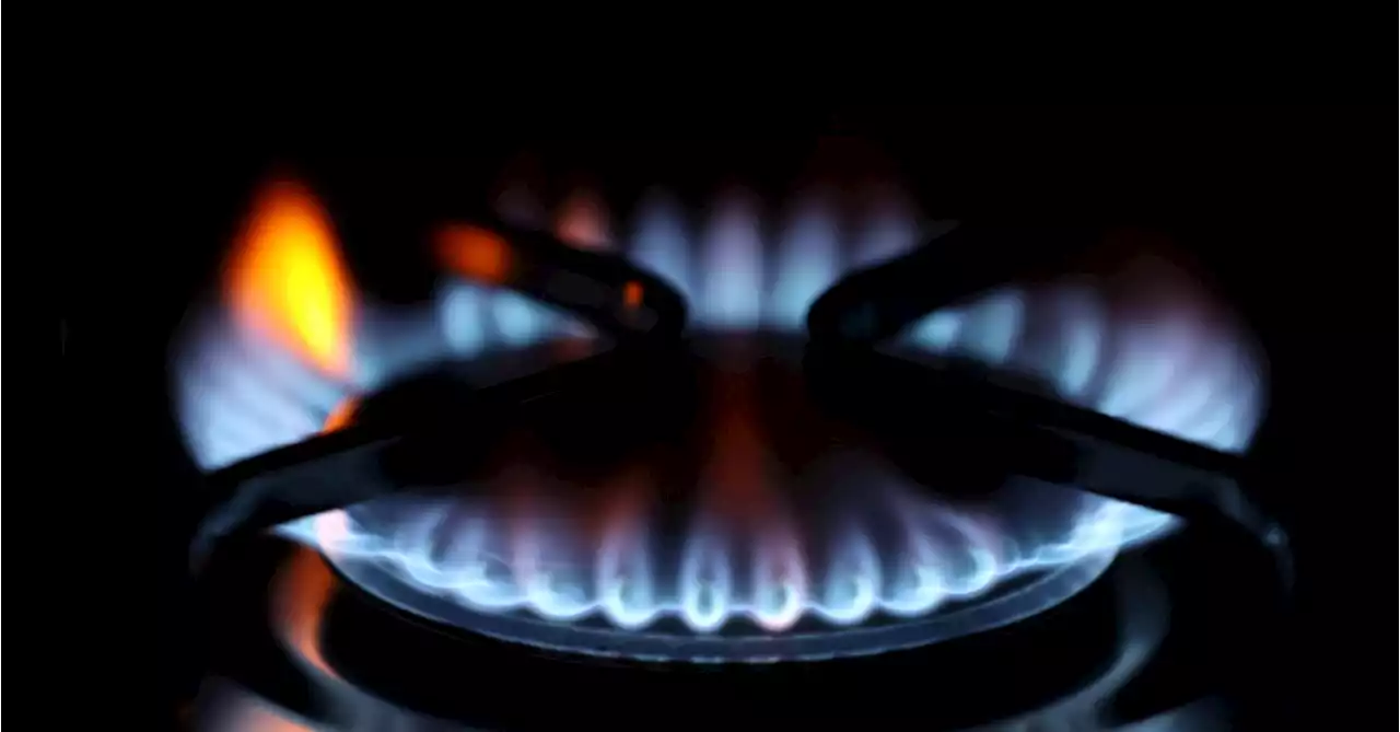 Global gas markets to remain tight next year amid supply squeeze-IEA