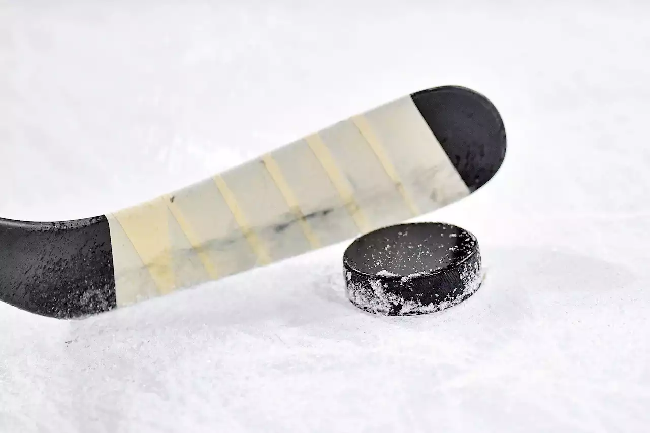 HOCKEY ROUNDUP: Brandon Abbass nets OT winner for MHL's Lumberjacks | SaltWire