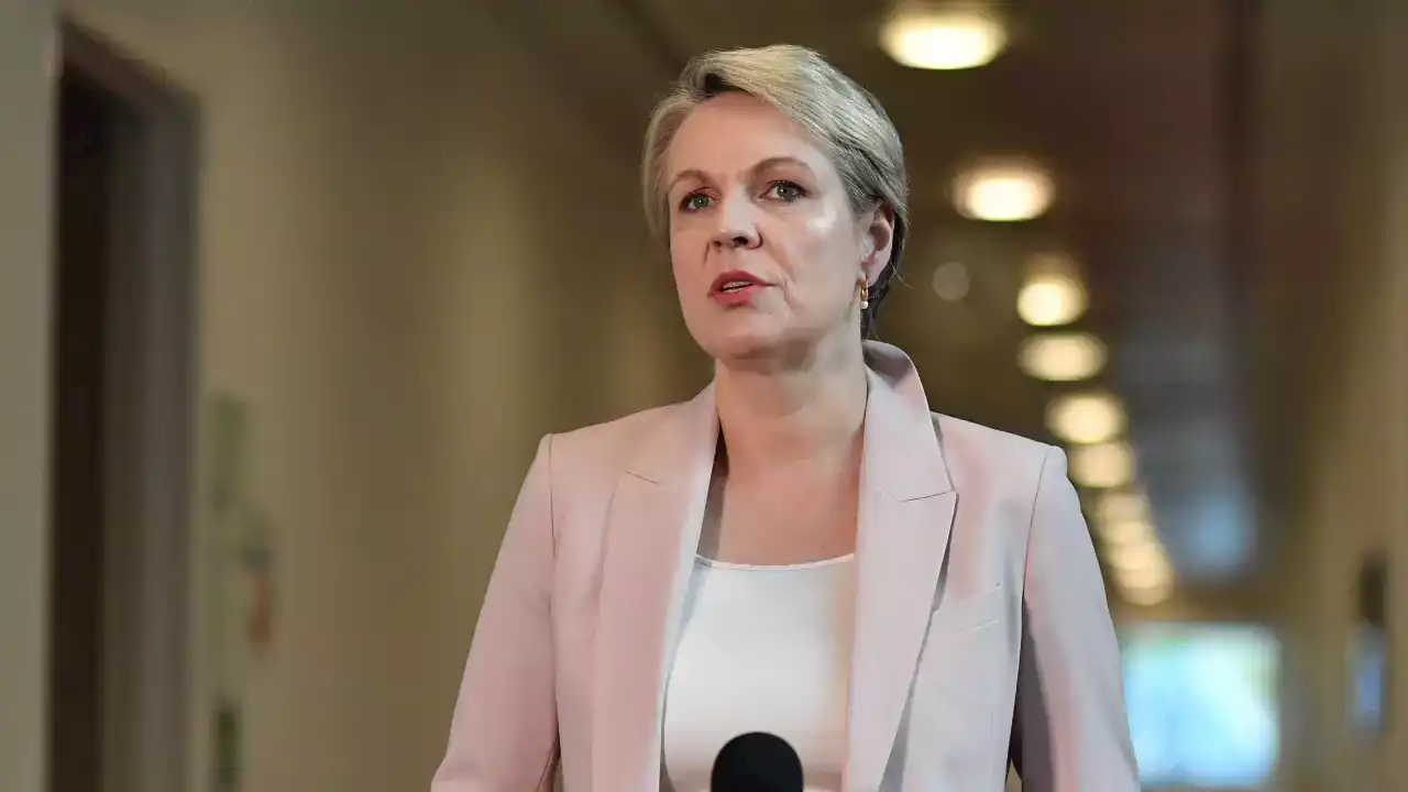 Tanya Plibersek blasts Optus over 'extraordinary' lack of communication since data breach