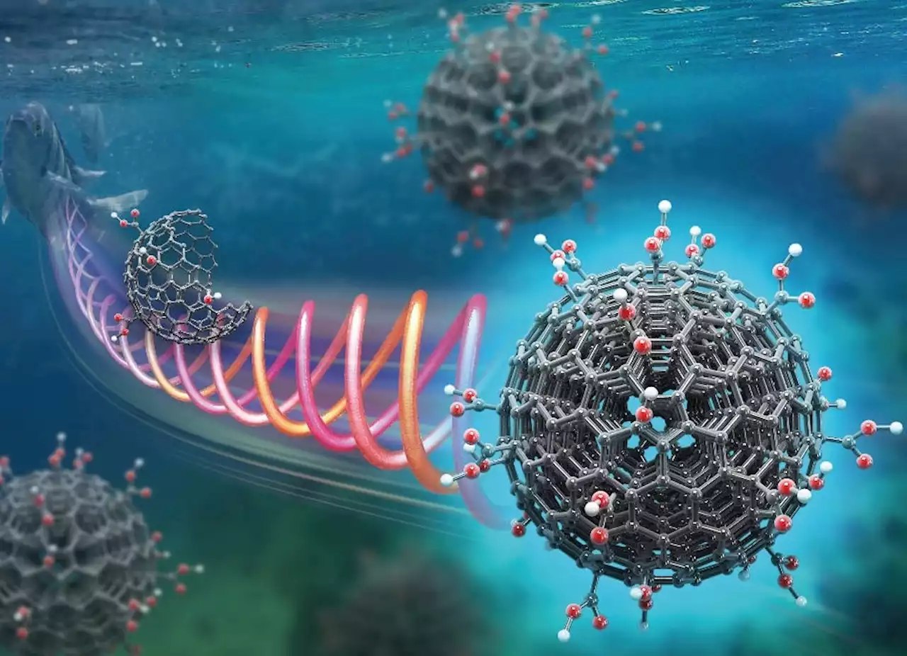 New Method Converts Fish Waste Into Valuable Nanomaterial in Seconds