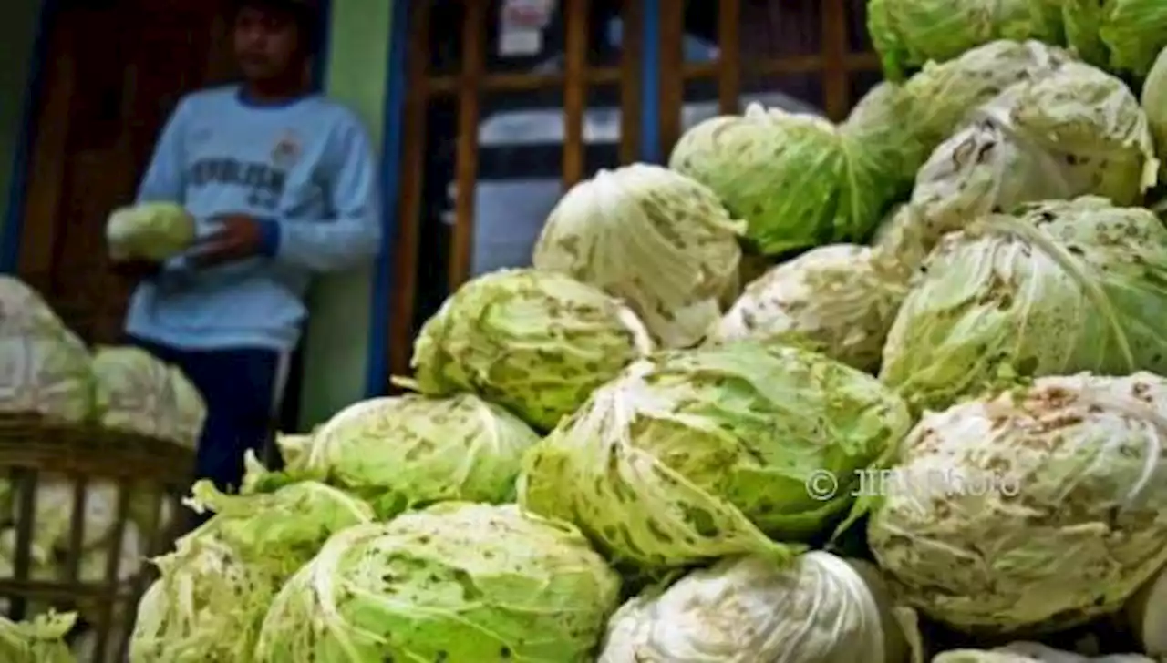 Gubernur Ganjar Ajak Kepala Daerah di Jateng Borong Hasil Petani