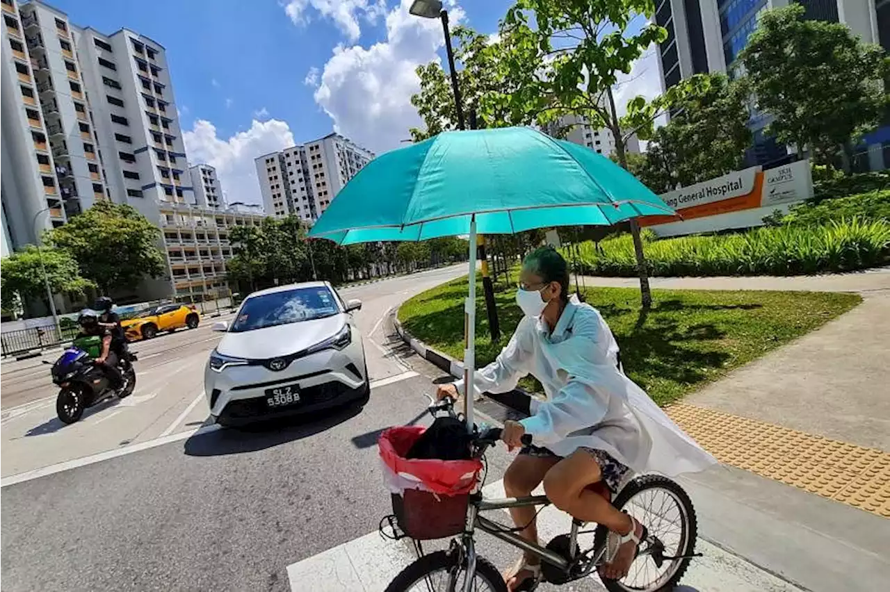 Cooling Singapore studies to look at rising temperatures on health, natural ecosystems