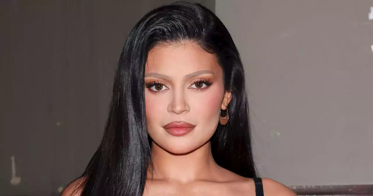 Kylie Jenner’s Bleached Eyebrows Look Very Familiar