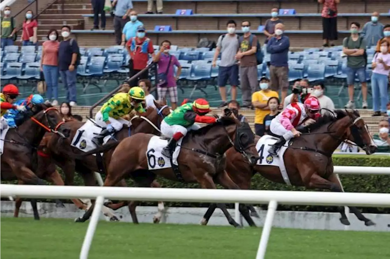 Super Wealthy storms into HK Sprint contention