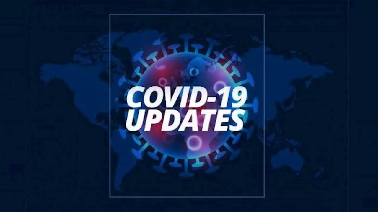 Update Covid-19 Global 3 Oktober 2022: Total Infeksi 623,4 Juta, Jumlah Pasien Sembuh 603,2 Juta - Tribunnews.com