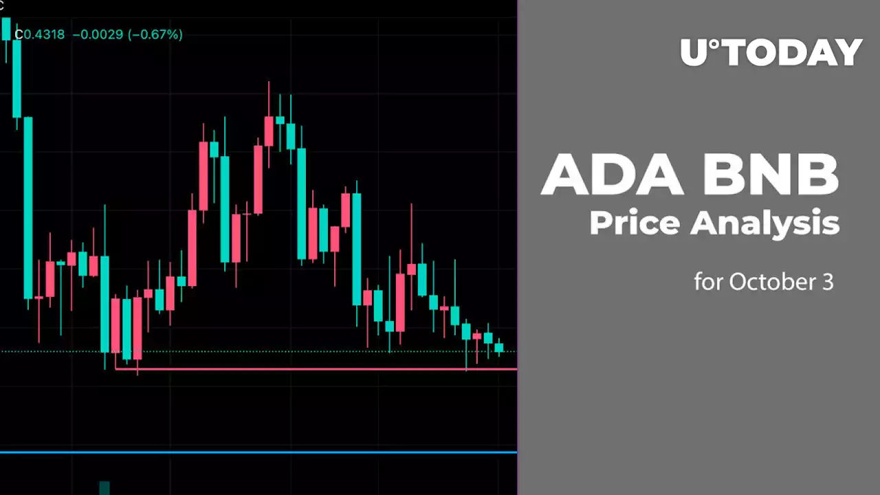 ADA and BNB Price Analysis for October 3