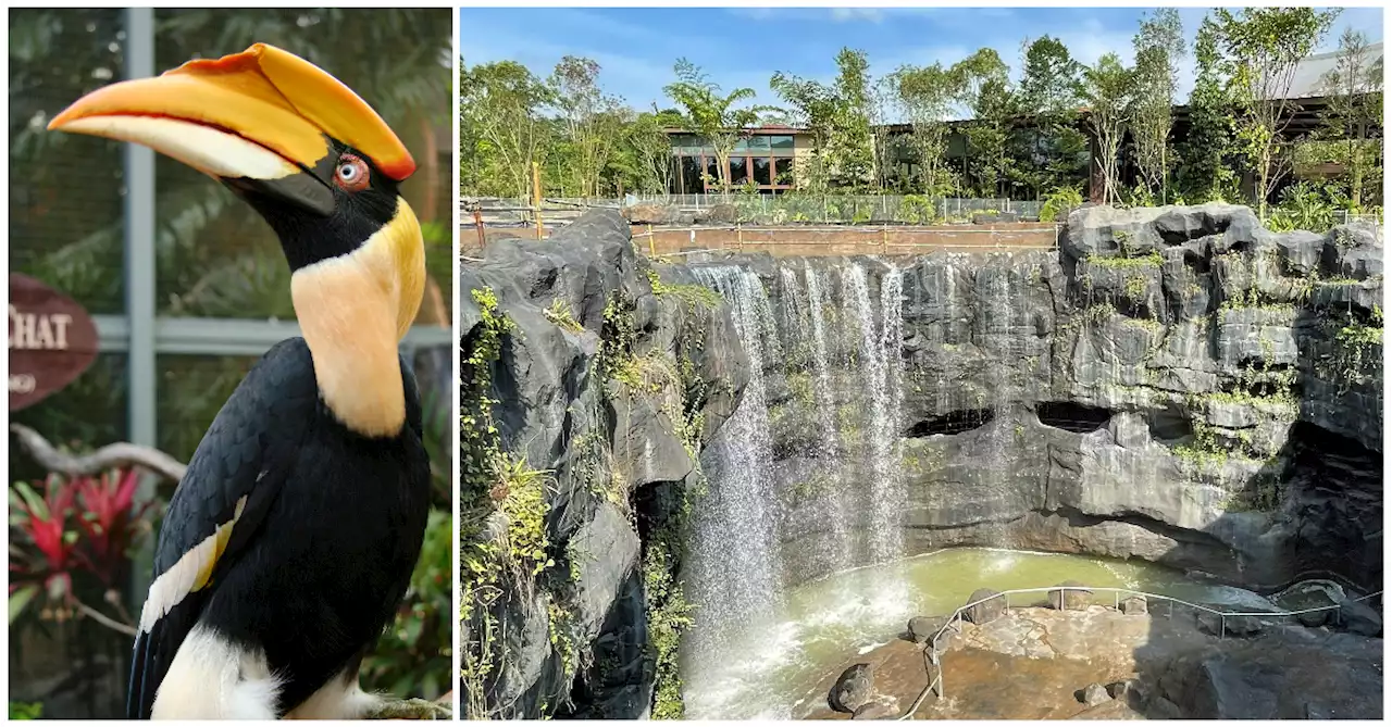 Bird Paradise to open in second quarter of 2023, to feature 8 walk-through aviaries