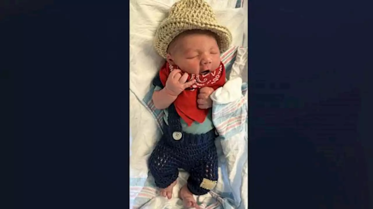 These newborns in costume will put you in the Halloween spirit