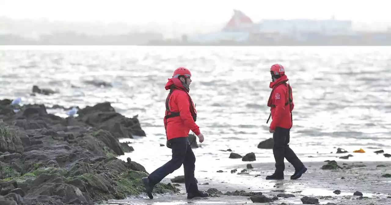 Major search operation in Belfast Lough after man goes missing from ferry