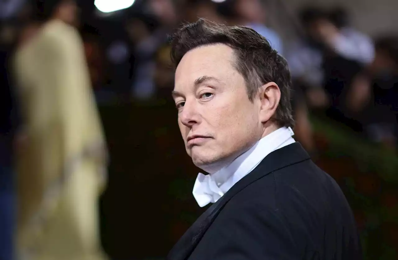 Bericht: Elon Musk feiert Halloween in rumänischem Dracula-Schloss