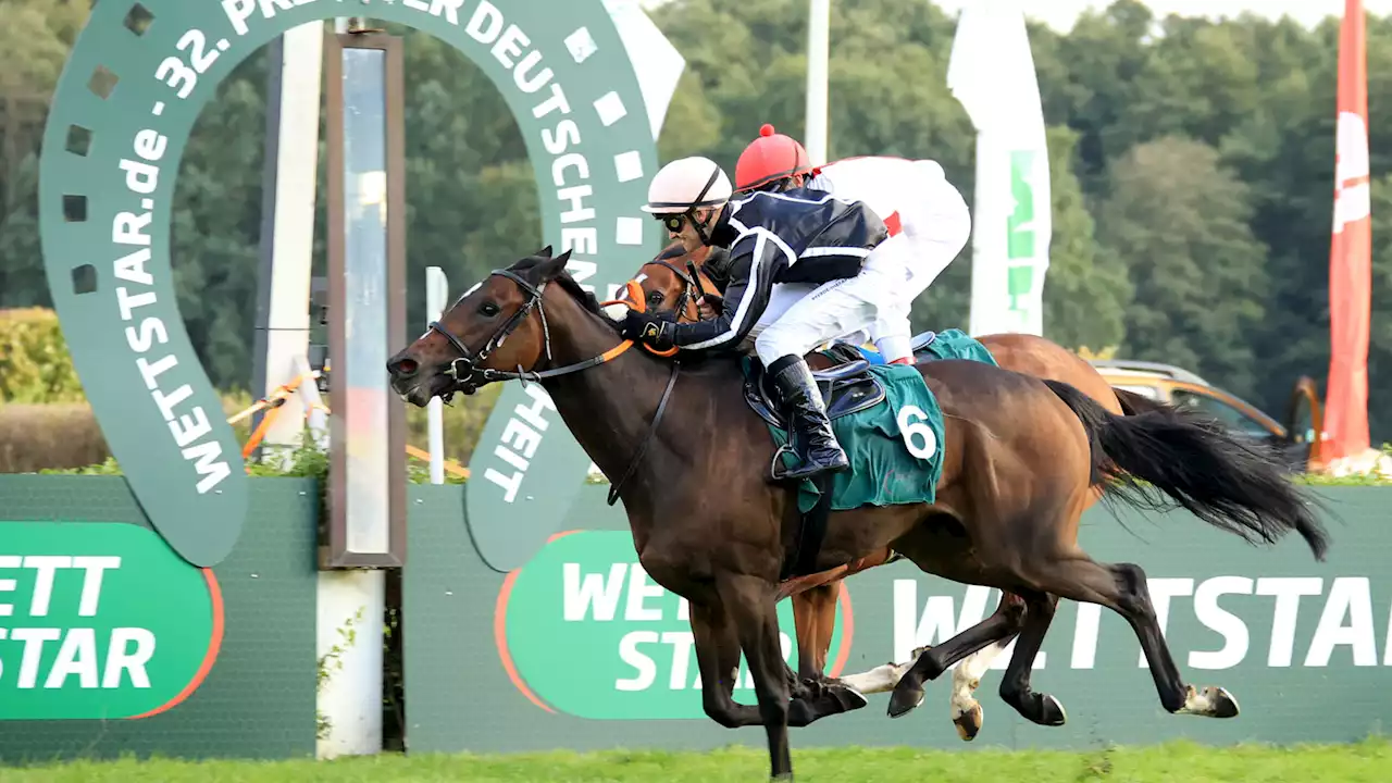 Beim Saisonfinale in Hoppegarten geht's um 55.000 Euro