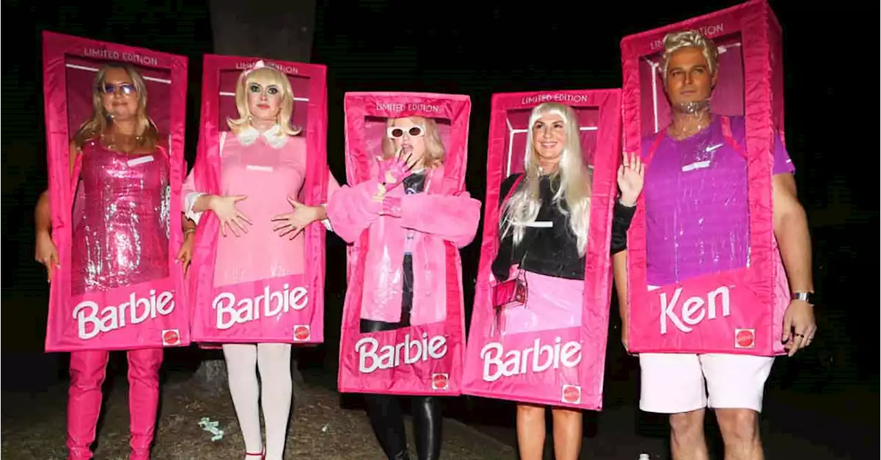 Rebel Wilson and Friends Surprise With In-Box Barbie Halloween Costumes