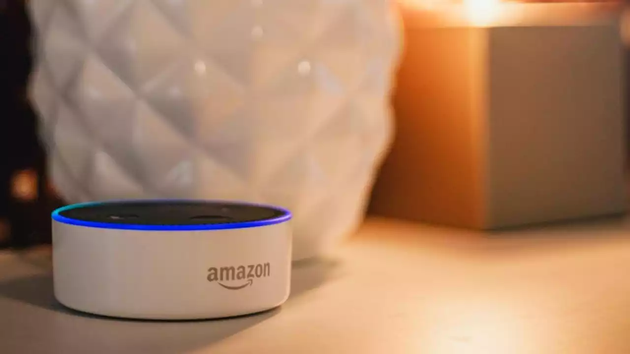 Alexa cambia voce, arriva quella maschile: ecco come funziona e come sceglierla