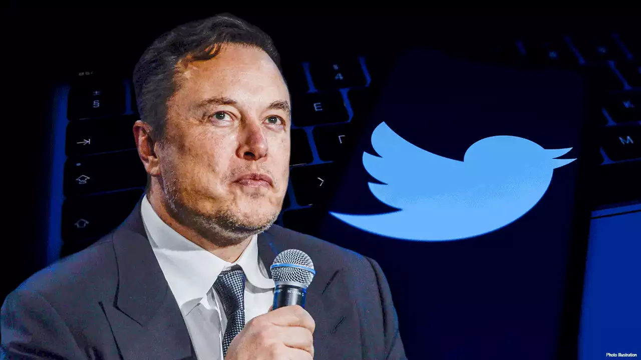 'Game changer': Could Elon Musk’s takeover of Twitter serve as this year's October surprise?