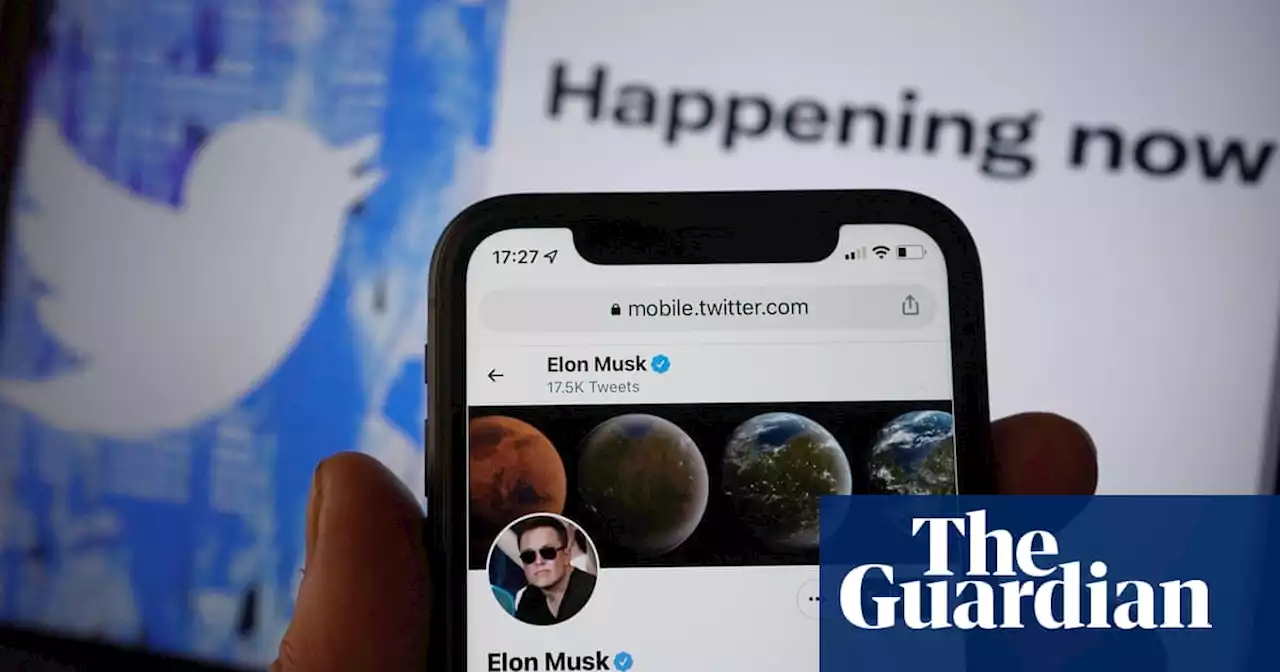 Twitter trolls bombard platform after Elon Musk takeover