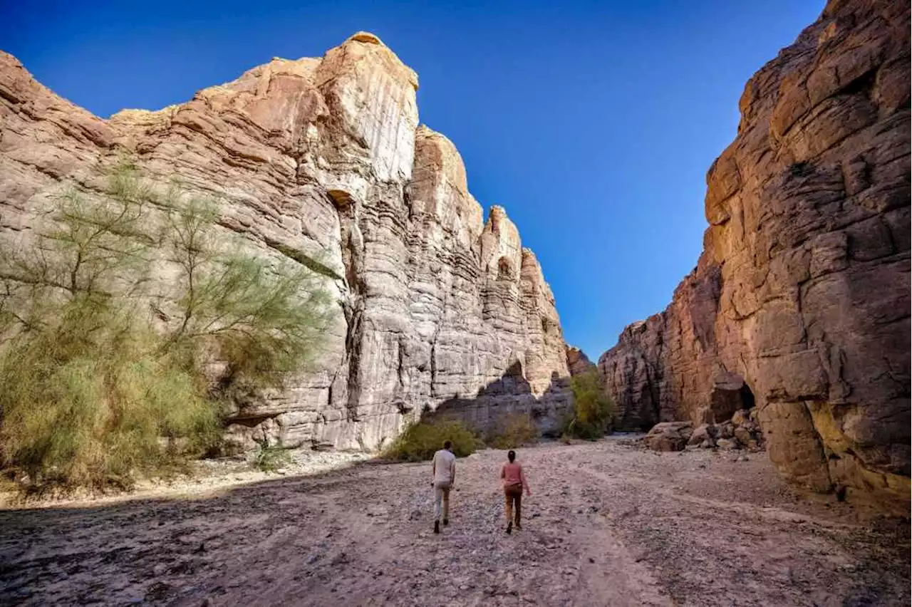 Joshua Tree National Park could get new neighbor — a national monument