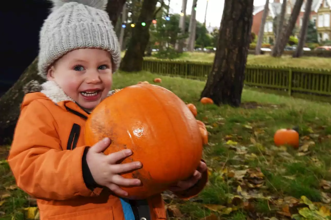 Pumpkins In the Park 2022: 10 spook-tacular pictures of Halloween fun at Lowther Gardens