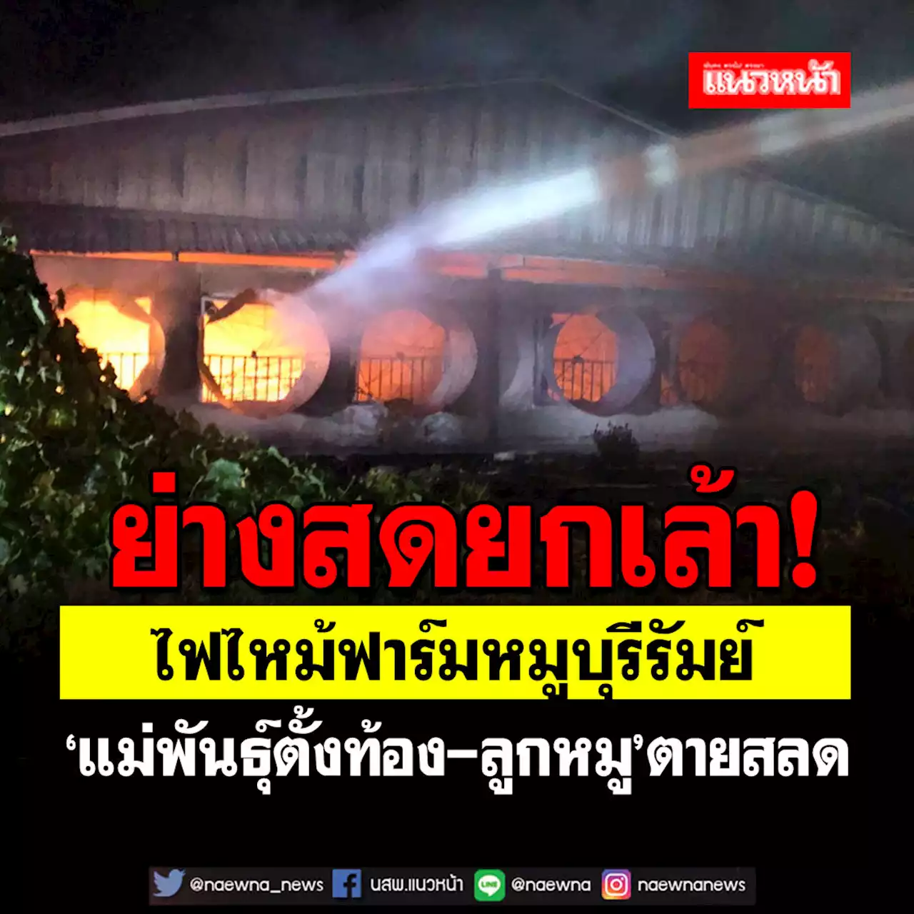 ไฟไหม้ฟาร์มหมูบุรีรัมย์ ย่างสดแม่พันธุ์ ตายสลดคาโรงเลี้ยงกว่า160ตัว