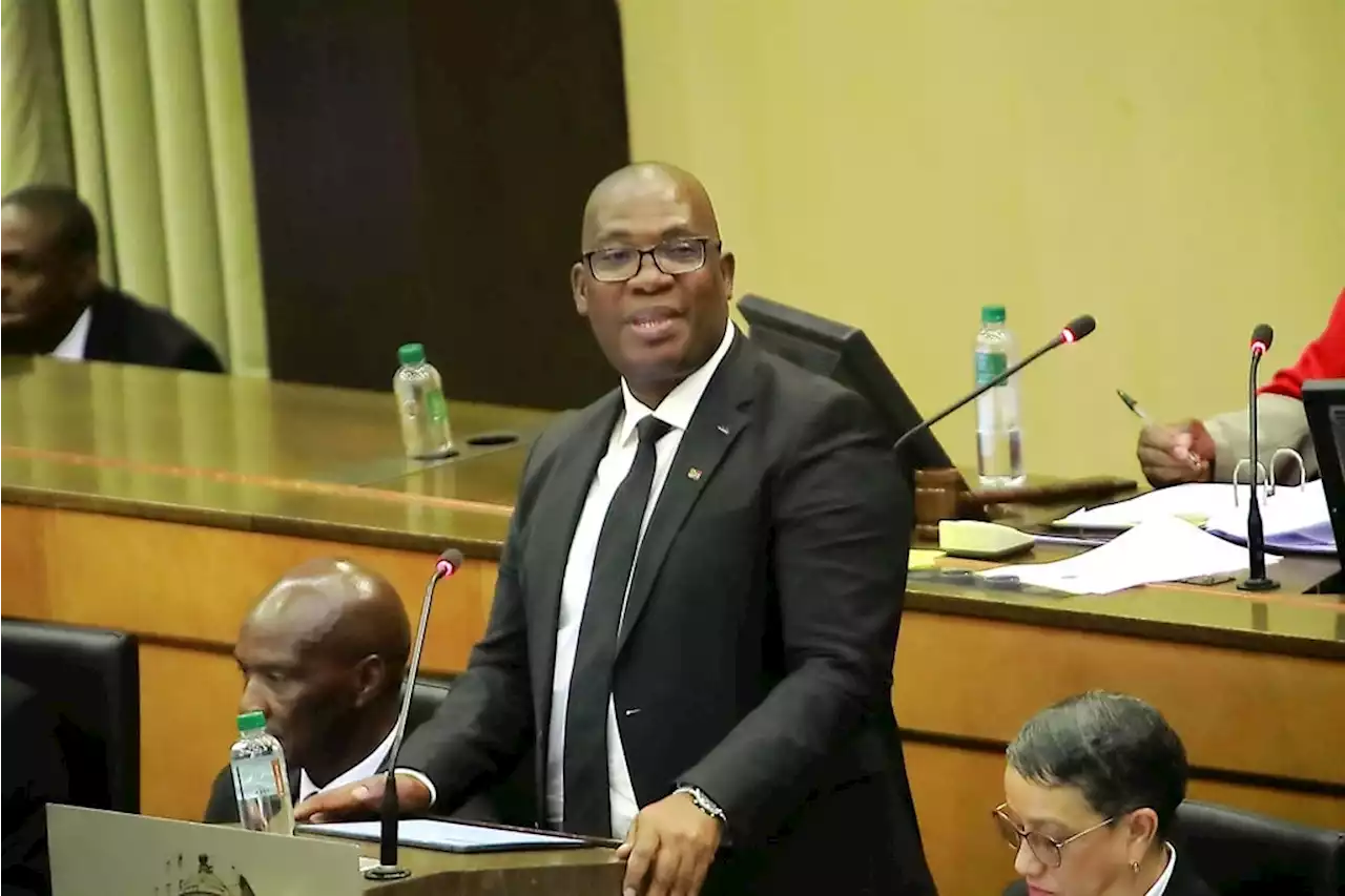 Gauteng premier wants Soweto's Eskom debt of close to R5bn written off | Fin24