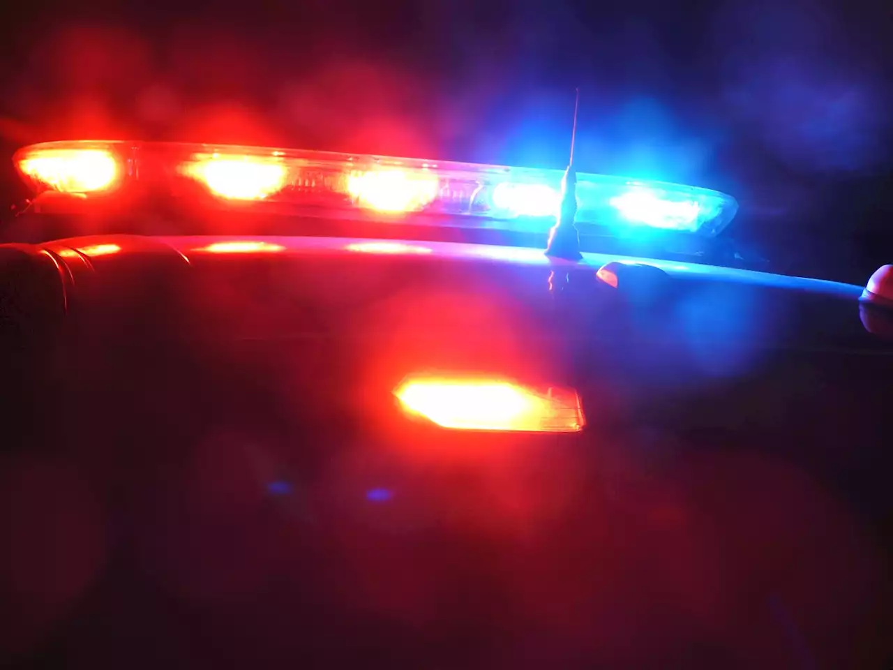 Fatal collision in Madoc Township