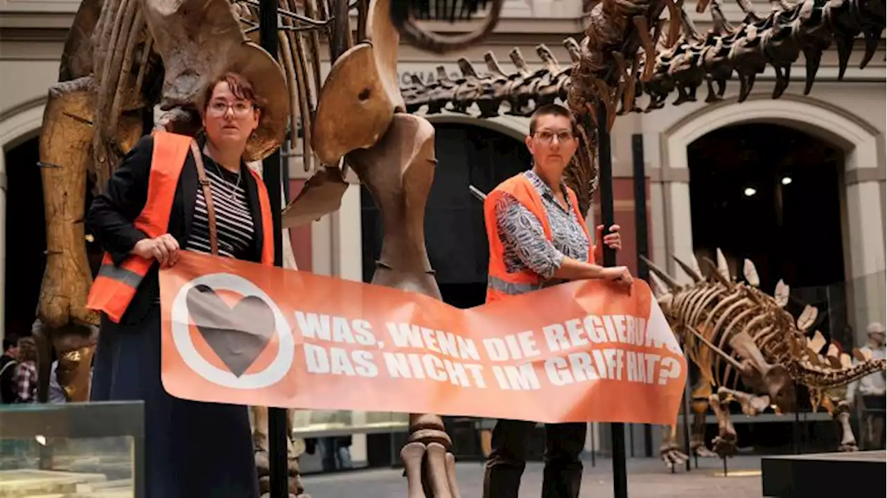 Klima-Demonstrantinnen kleben sich an Skelett-Halterung im Naturkundemuseum