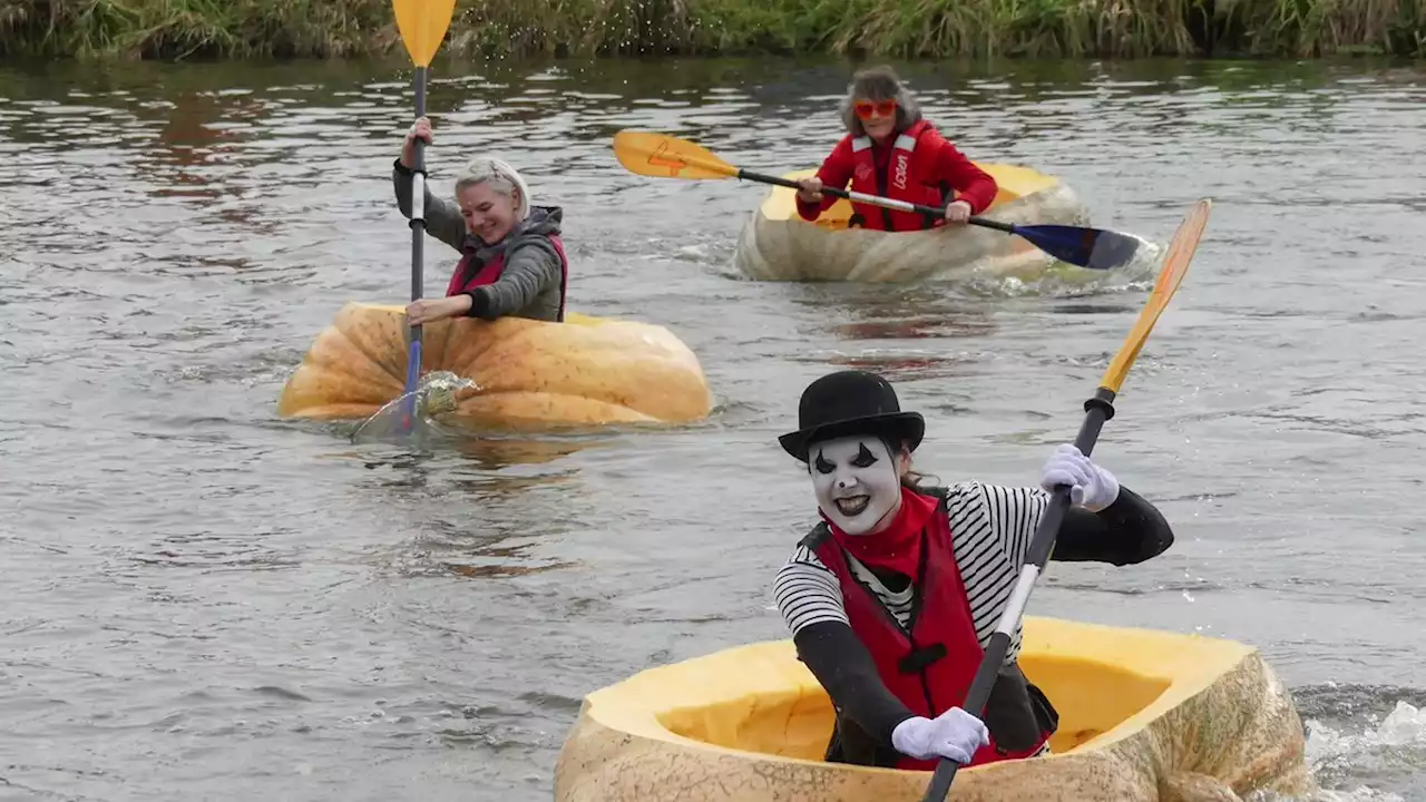 Paddle your own pumpkin: racers descend on Belgian pond