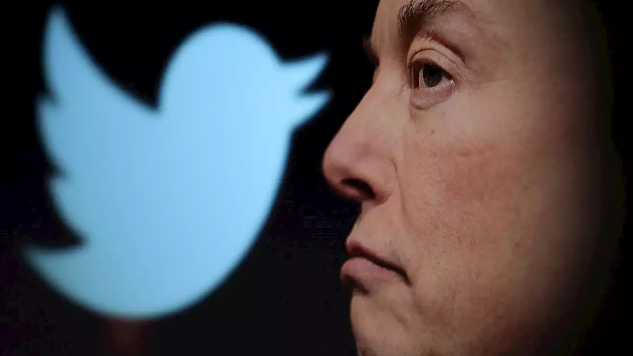 Ten people Elon Musk could bring back to Twitter - by revoking their permanent bans