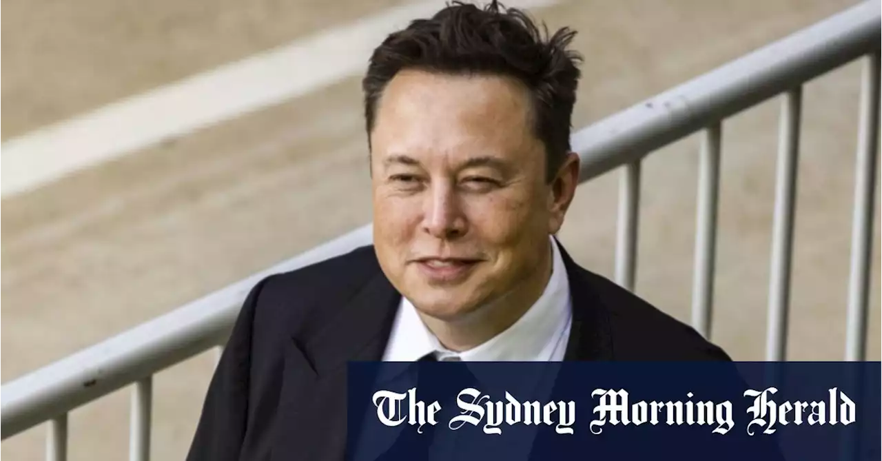 Elon Musk prepares ‘mass sackings’ at Twitter, asks managers to draw up lists