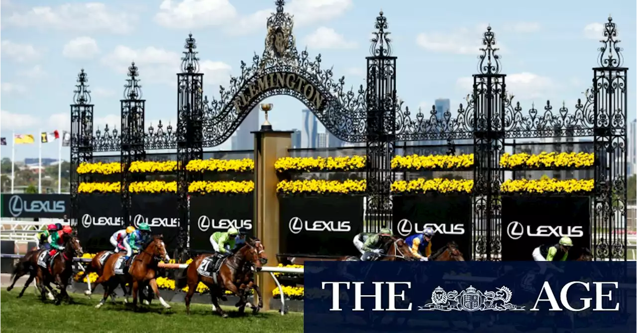 A complete guide to this year’s Melbourne Cup field