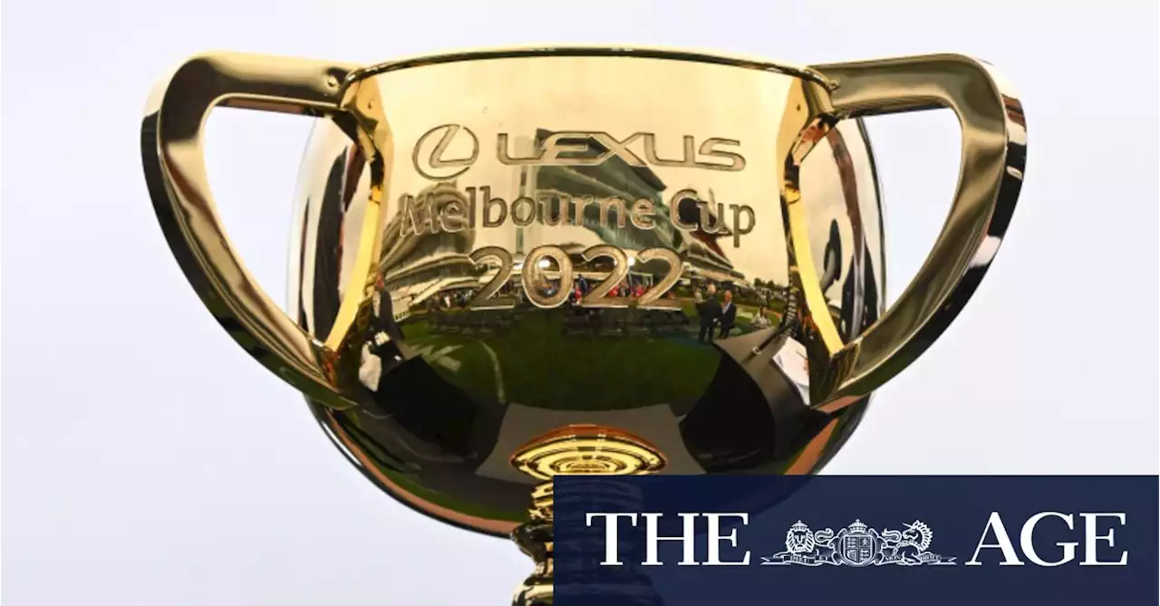 Melbourne Cup 2022 virtual sweep generator
