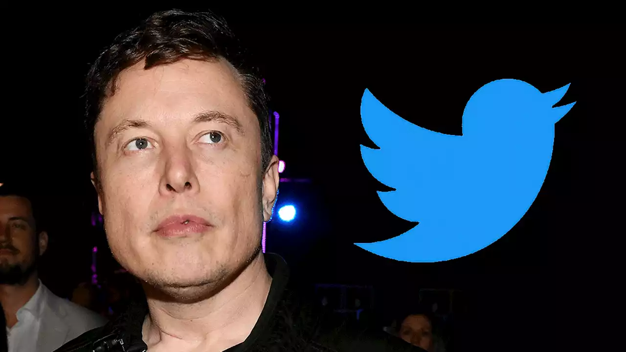 Elon Musk About to Announce Layoffs at Twitter Ahead of Stock Grants