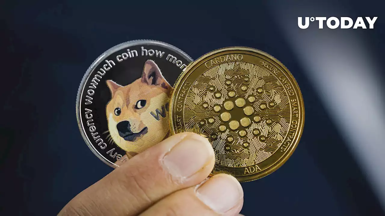 Dogecoin (DOGE) Ahead of Cardano After Explosive Price Performance