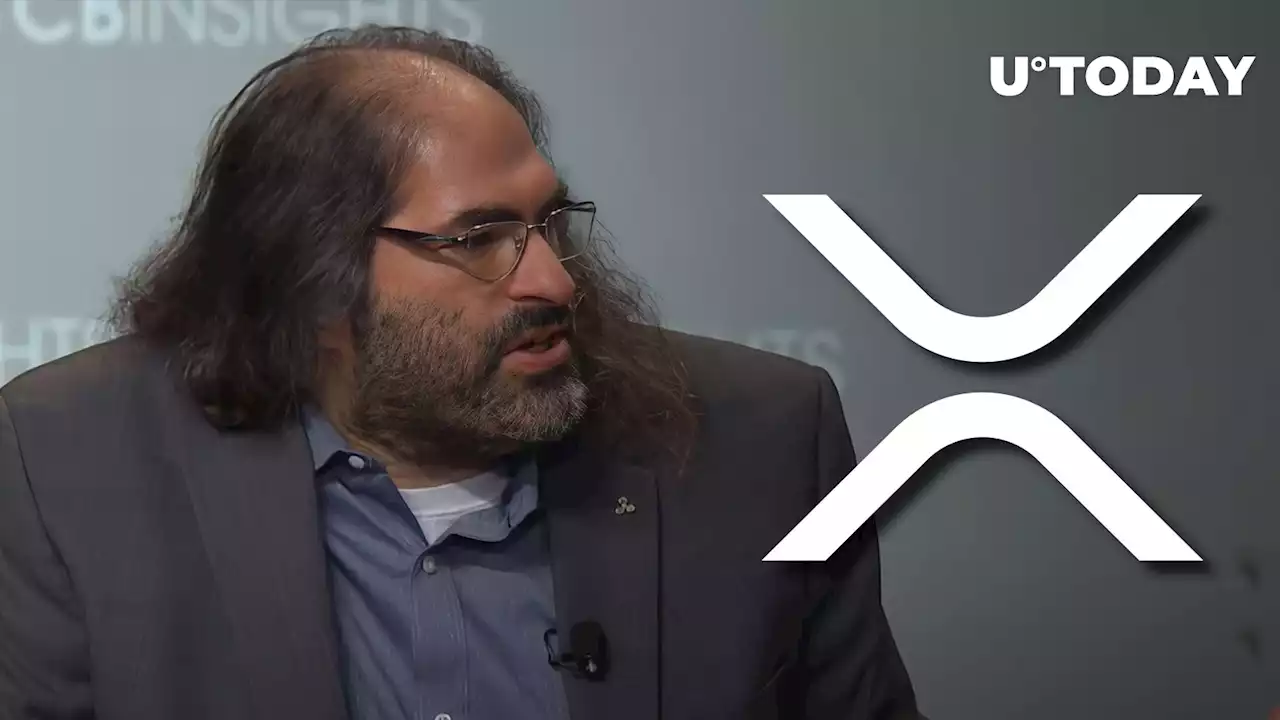 Ripple CTO Claims XRP Is Performing in Line with Bitcoin and Ethereum